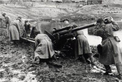 Таллинские курсанты кидались под немецкие танки  
