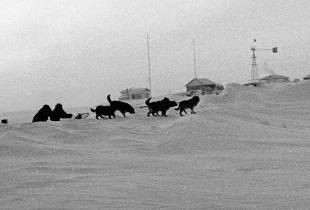 Как моряки десятилетиями искали остров-призрак за полярным кругом  