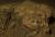 В пещере на Сулавеси отыскан древнейший наскальный рисунок в мире  