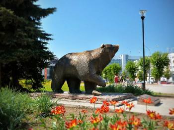 Что означают медведи на гербах различных городов, и Отчего образ русского мишки далек от Винни-Пуха  
