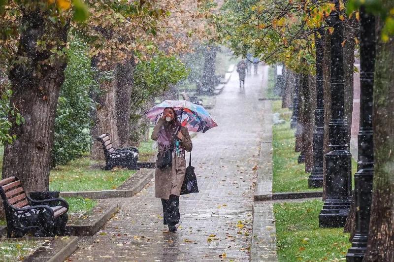 Погода на неделю в Москве и Санкт-Петербурге: какая ожидает температура, будет ли ещё снег  