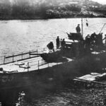 Дунайский бассейн почти 50 лет гарантировал безопасность СССР и восточноевропейских краёв  