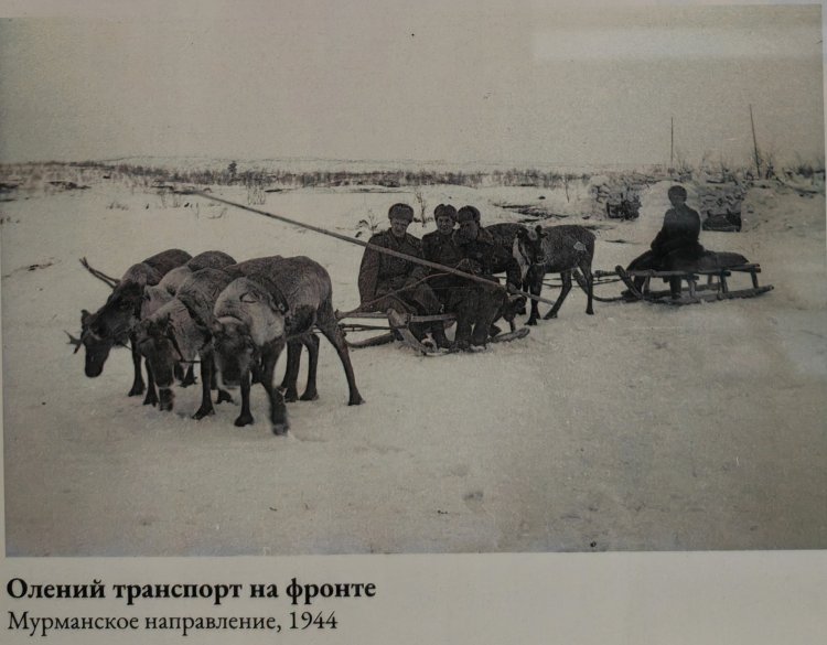И они воевали за Родину  