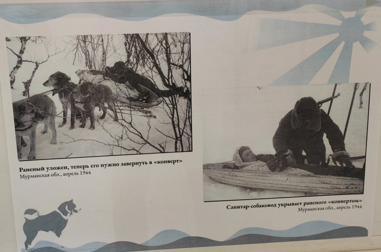 И они воевали за Родину  