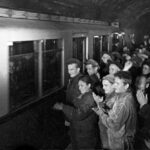 «От «Сокольников» до «Парка» на метрополитен»  