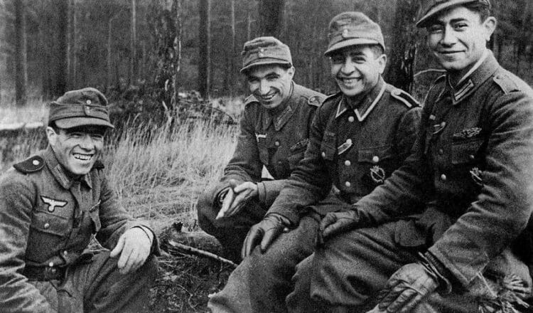 План «Гертруда»  