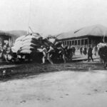 Рассекречены сведения о поступках японцев на советском Сахалине в 1920 году - Родина  