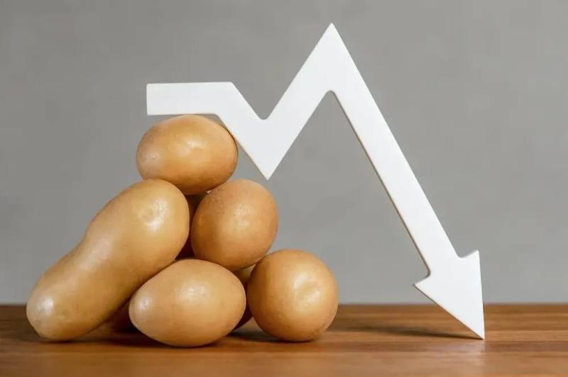 Ситуация с картофелем в России в 2025 году: дефицит картошки, заключительные новости  