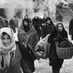 Обнародованы новоиспеченные сведения о борьбе с голодом в блокадном Ленинграде - Родина  