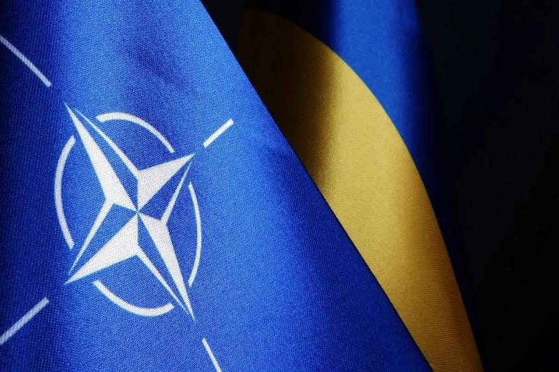 Саммит НАТО в Гааге 24-25 июня: основные решения по Украине и позиция Трампа  