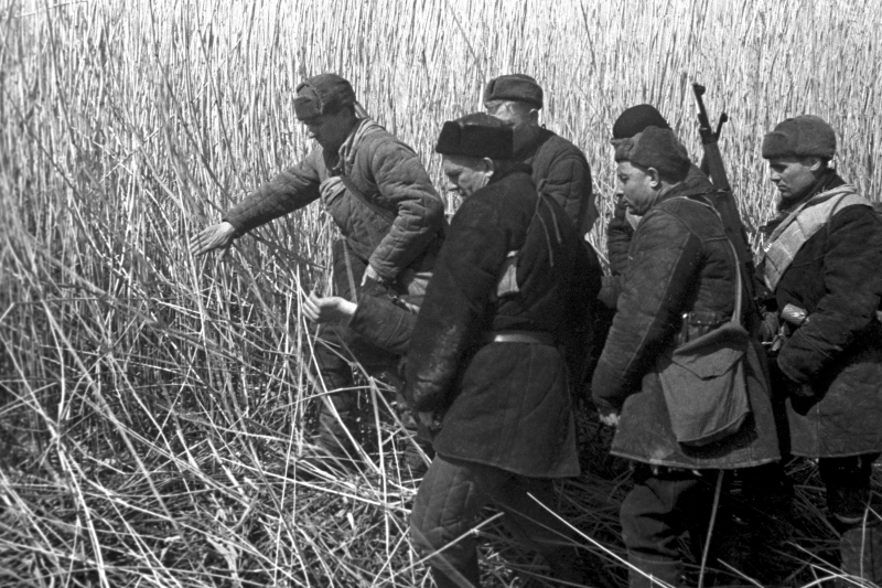Сколько советских граждан сделались партизанами во время  