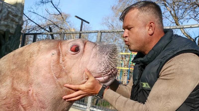 Отчего летчик-виртуоз генерал Громов остался в тени легендарного Чкалова  