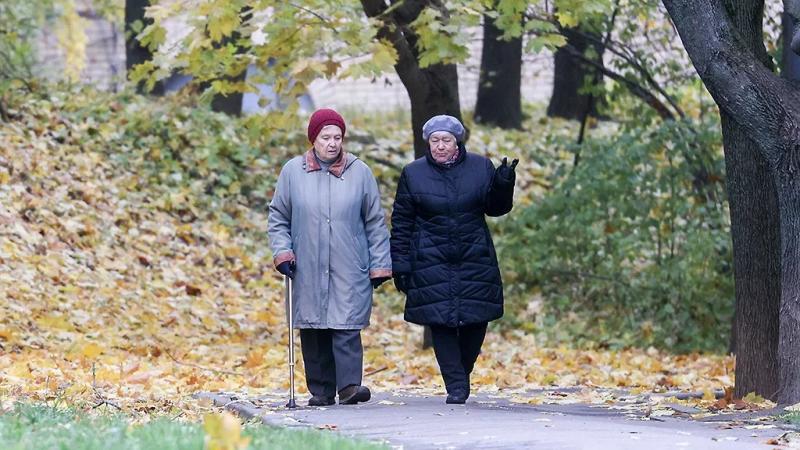 Повышение социальных выплат с 1 ноября: на сколько повысят льготы, пособия, субсидии и пенсии  